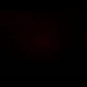 Meet your Posher, Ava